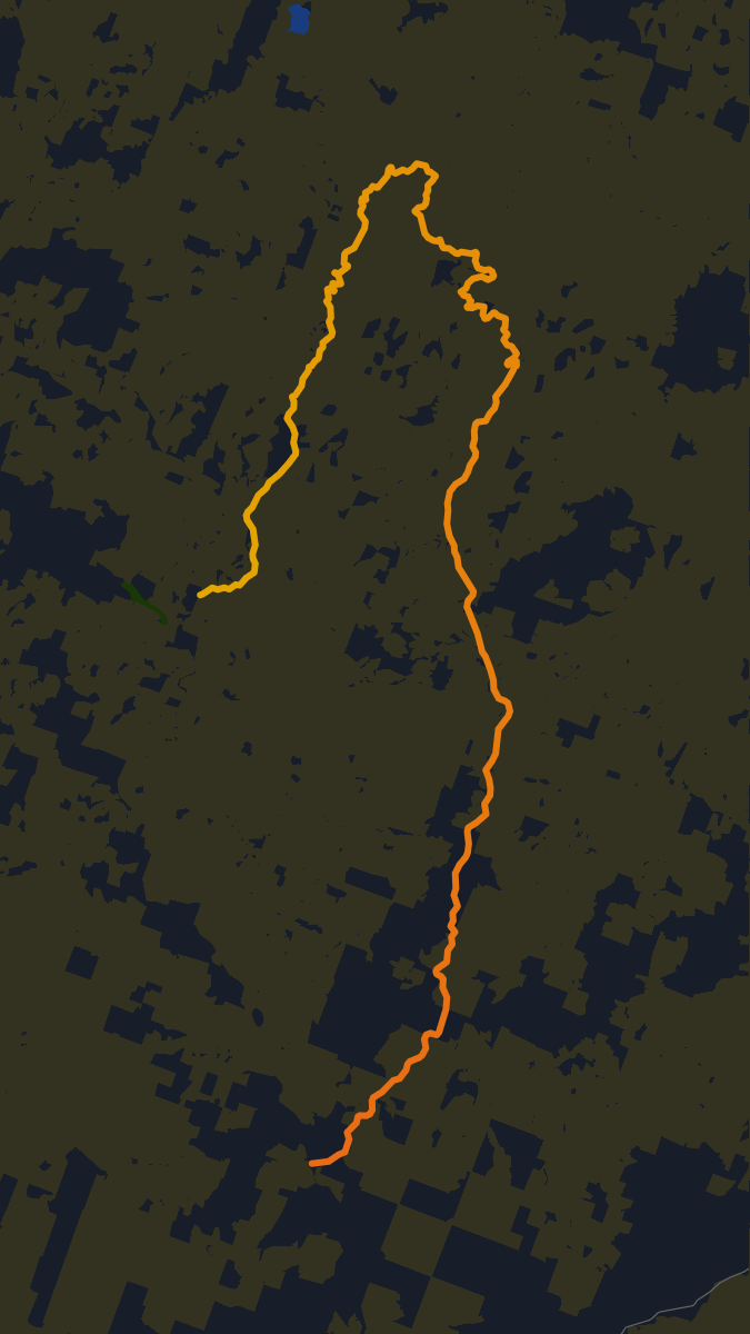 Forest Road 29 preview