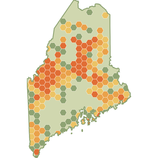 Maine fun roads heat map