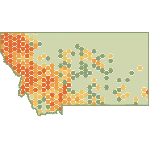Montana fun roads heat map