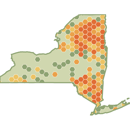 New York fun roads heat map